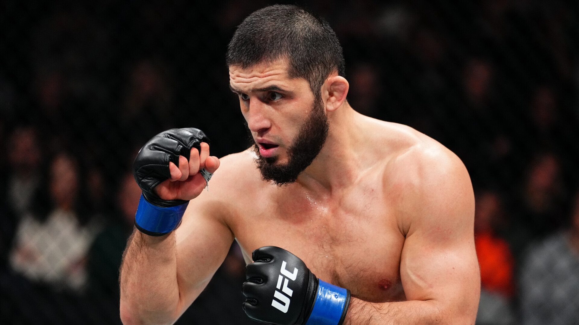 Махачев в июле проведет бой против Моралеса на турнире UFC в Лас‑Вегасе — СМИ